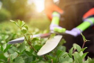 herramientas de jardinería