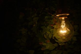 Seleccionar compañía de luz y gas