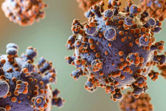 fortalecer sistema inmunológico