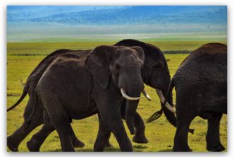 visa para viajar a Tanzania