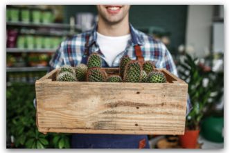 comprar cajas de madera