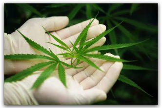 Clubs de cannabis legales