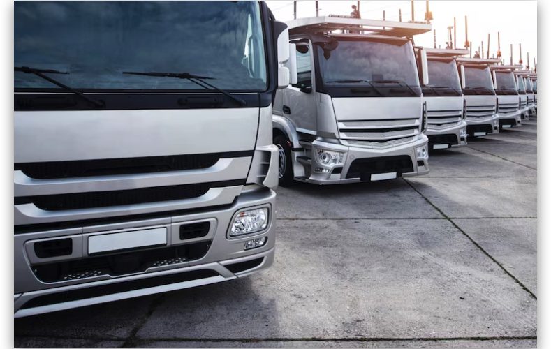 transporte de vehículos