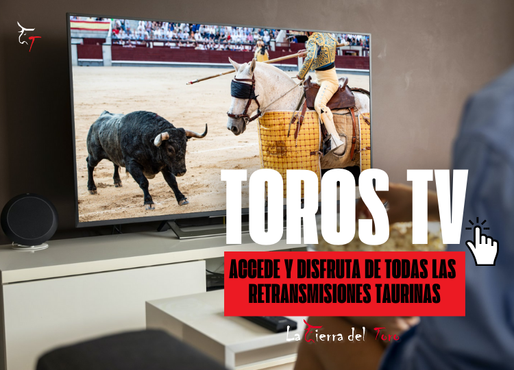 ¿Dónde ver la corrida de toros hoy? Horarios y transmisiones en vivo ...